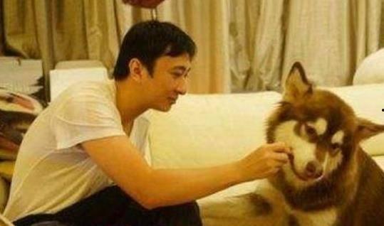 娱乐圈吃瓜爆料王思聪,揭秘吃瓜王思聪的幕后故事